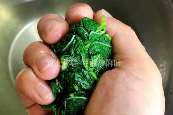 豆酱炒麻叶的做法图解5