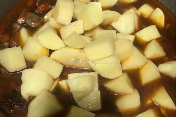 土豆炖牛腩的做法图解6