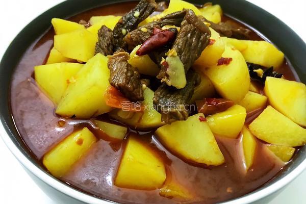 土豆炖牛腩的做法图解8