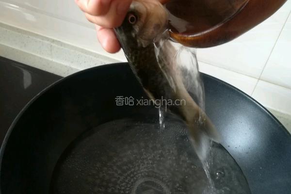 鲫鱼豆腐汤的做法图解3