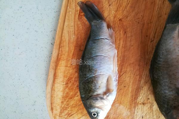 鲫鱼豆腐汤的做法图解5