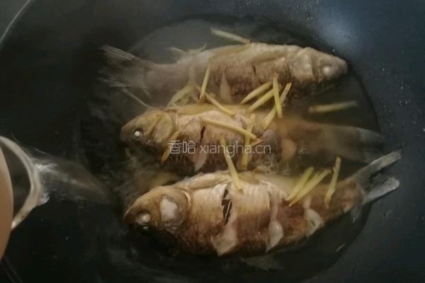 鲫鱼豆腐汤的做法图解10
