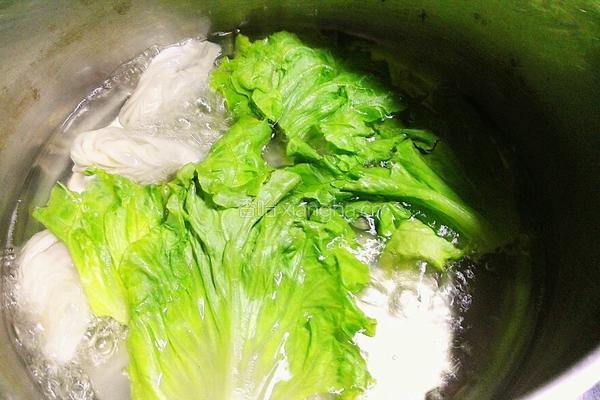 生菜牛肉水饺的做法图解12