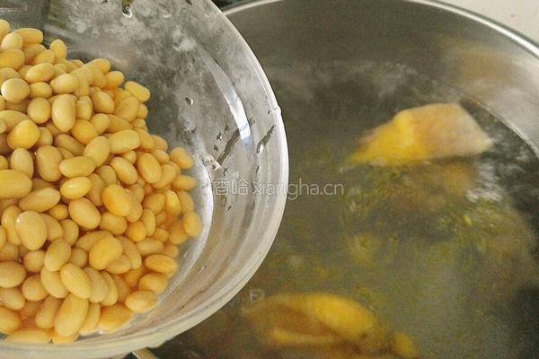 黄豆莲藕鸡汤的做法图解8