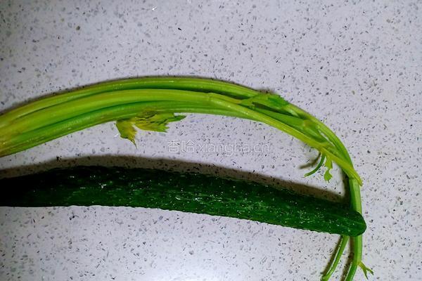 芹菜黄瓜汁的做法图解1
