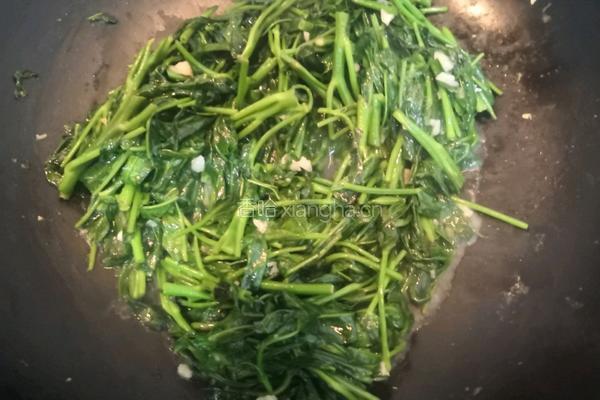 蒜香空菜的做法图解9