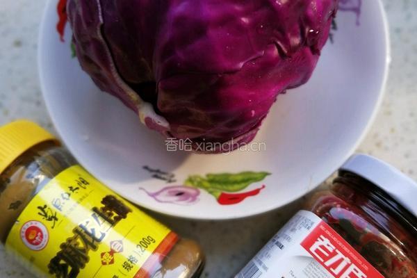 麻酱紫甘蓝的做法图解1