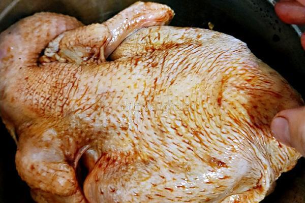 电饭煲焗鸡的做法图解7