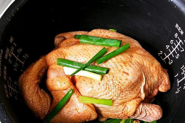 电饭煲焗鸡的做法图解16