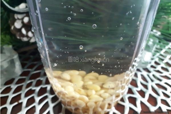 豆浆的做法图解2