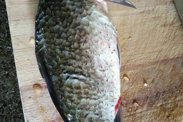 美味蔬菜鱼汤面的做法图解1