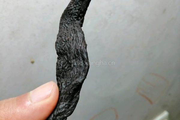 小肠老菜埔汤的做法图解2