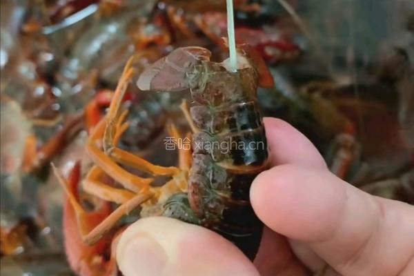 夏季麻辣小龙虾的做法图解3