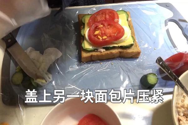 金枪鱼全麦三明治的做法图解7