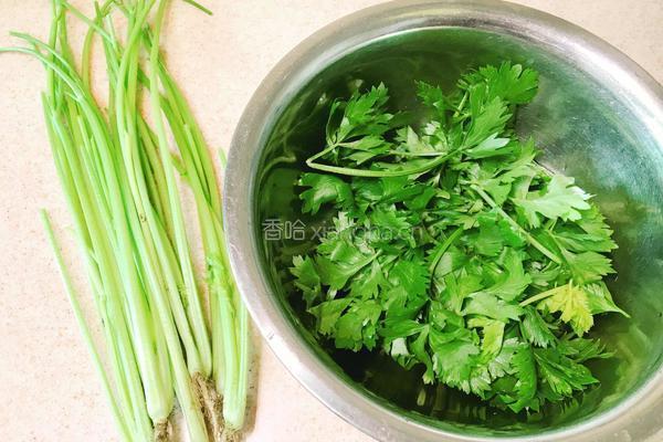 芹菜拌花仁的做法图解1