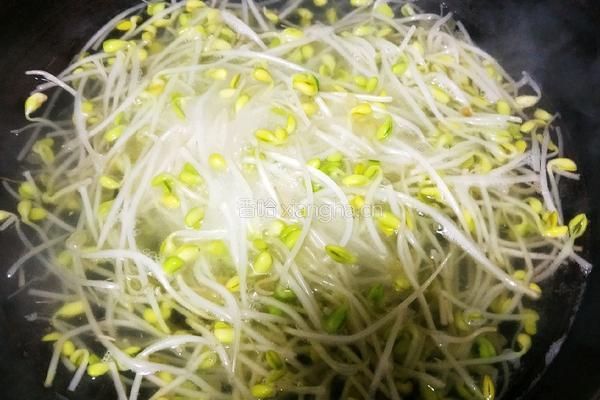 凉拌黄豆芽的做法图解4