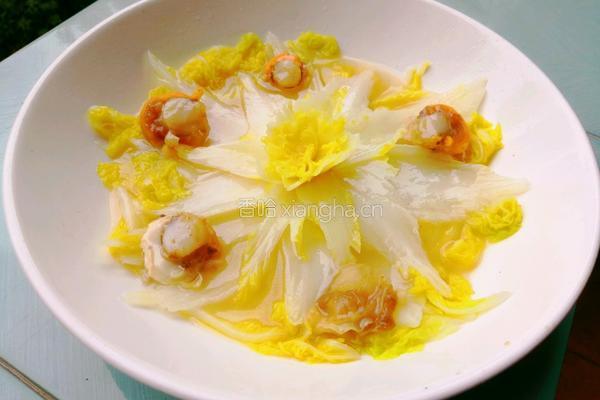 开水白菜的做法图解13