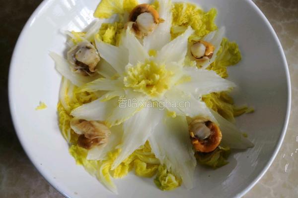 开水白菜的做法图解7