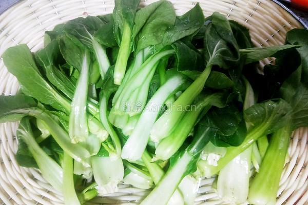 口蘑炒青菜的做法图解3