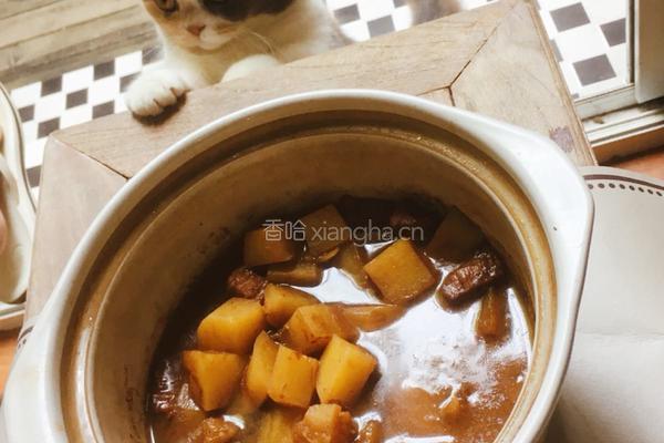 土豆烧肉的做法图解9