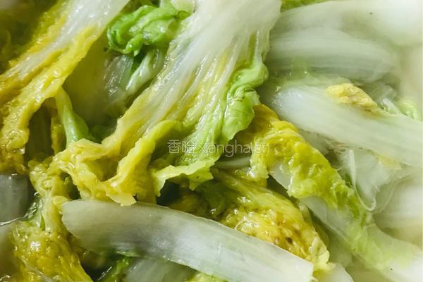 清炒银丝白的做法图解5