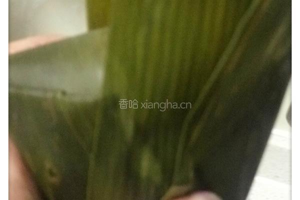西米水晶迷你粽的做法图解8