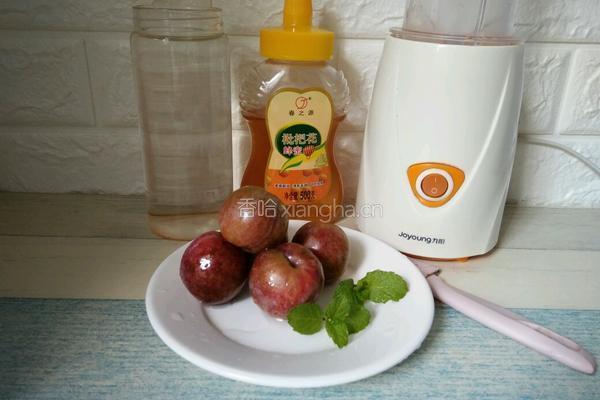 薄荷蜂蜜红李汁的做法图解1