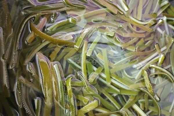 海带丝炒豆腐干的做法图解5
