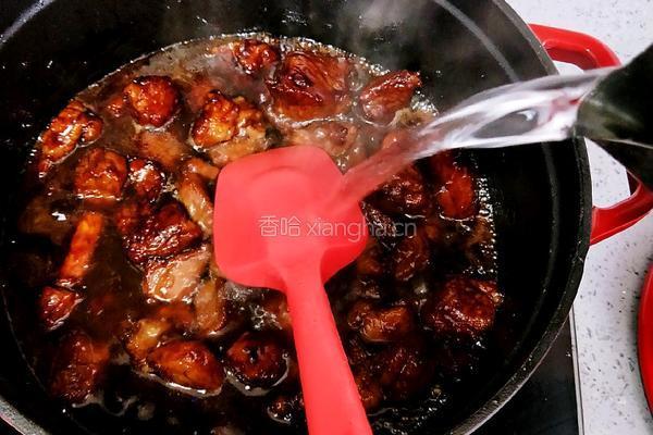红烧牛腩的做法图解18