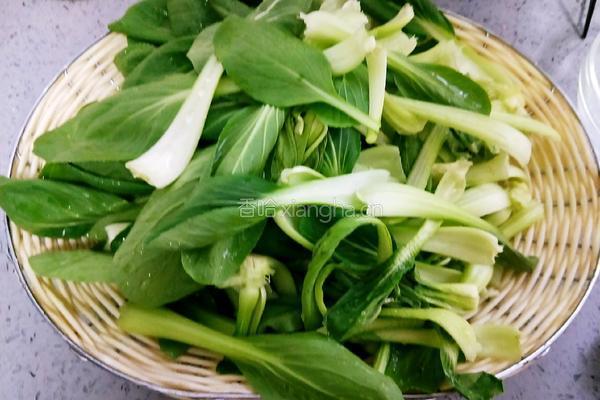 清炒鸡毛菜的做法图解1