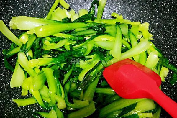清炒鸡毛菜的做法图解8