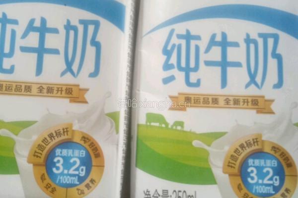 自制酸奶的做法图解1