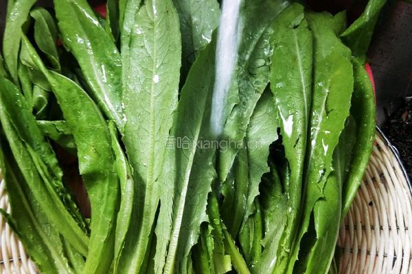 清炒油麦菜的做法图解2