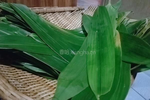 清棕的做法图解1