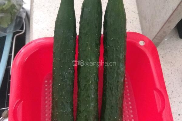 凉拌青瓜的做法图解1