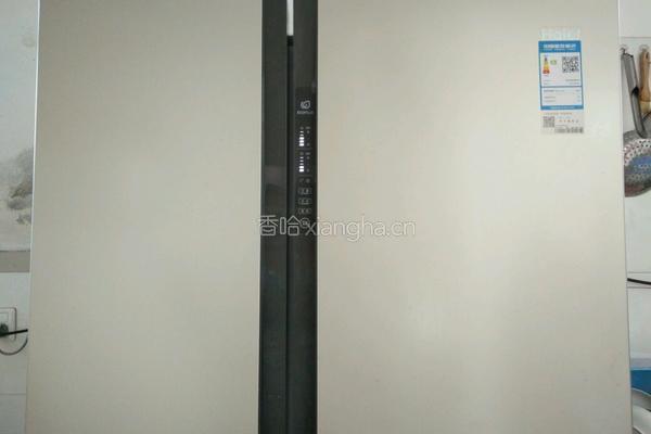 芒果冰棒的做法图解11