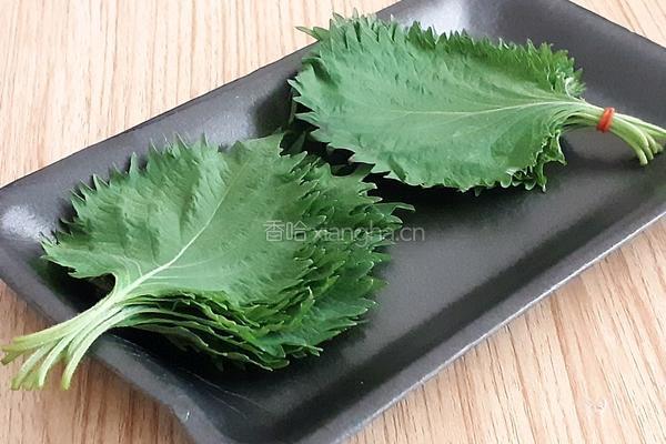 紫苏叶蛋饺的做法图解1