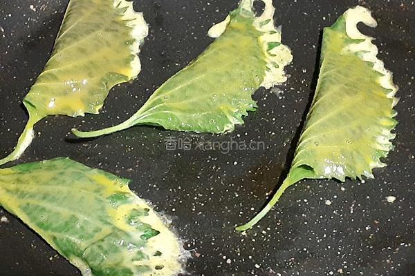 紫苏叶蛋饺的做法图解8