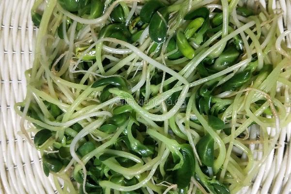 炝拌黑豆苗的做法图解5