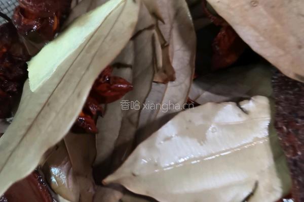 香辣啤酒龙虾的做法图解1