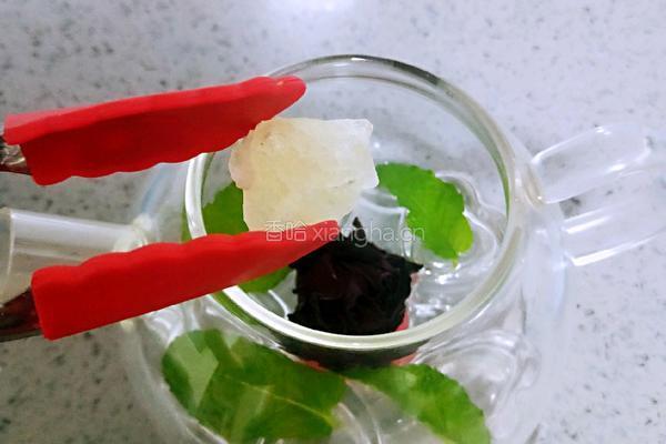 大玫瑰薄荷茶的做法图解7