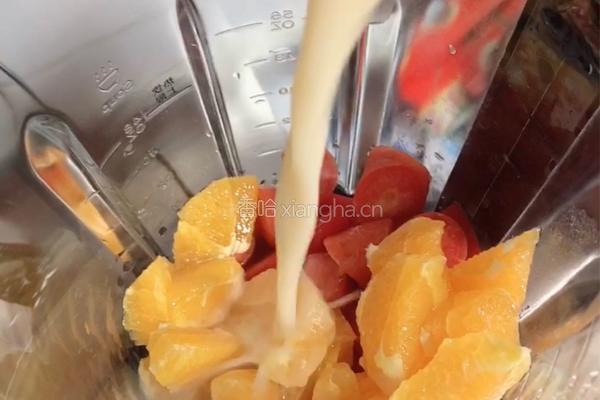 维生素能量特饮（清肠排毒）的做法图解5