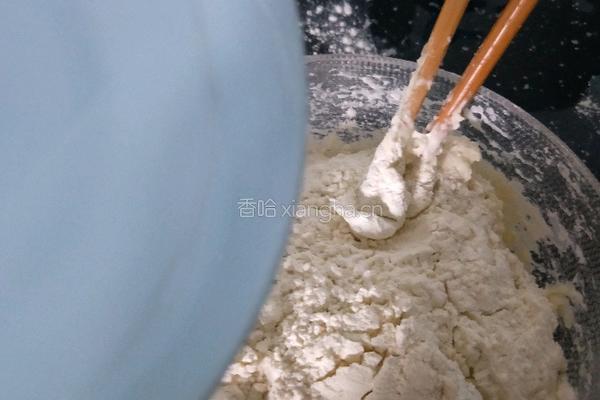 香酥麻辣肉饼的做法图解2