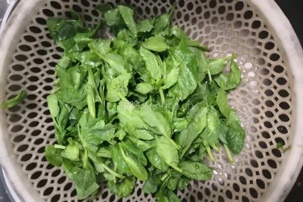 清炒豆苗的做法图解2