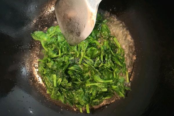 清炒豆苗的做法图解8