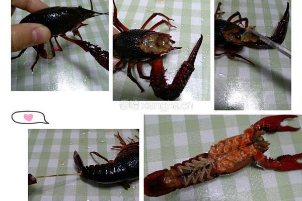 蒜蓉小龙虾粉丝（内附详细清洗小龙虾教程）的做法图解1