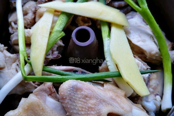 汽锅鸡（清蒸）的做法图解6