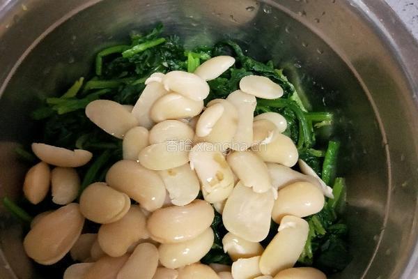 白芸豆拌菠菜的做法图解10