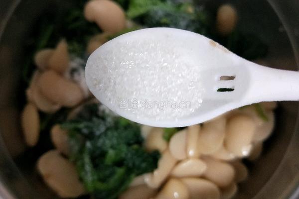 白芸豆拌菠菜的做法图解14