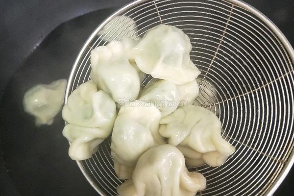 韭菜猪肉饺子的做法图解20